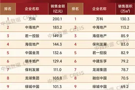 2023年山东房地产企业销售业绩TOP20图片