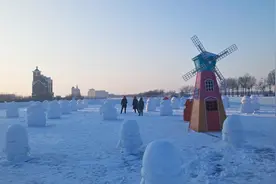 快来看啊！兰德湖来了一群雪企鹅图片