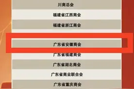这些安徽商会上榜“中国最具影响力商会”！图片