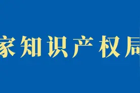 专利审查指南（2023）图片