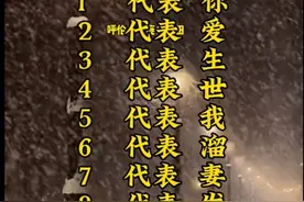 车牌照上数字的含义，你知道多少？来对照一下！图片