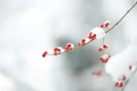 西安今明最高温只有0℃左右 说好的暖冬为什么这么冷？图片