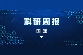 首次实现人体外猪肝移植，结果较理想；一些大脑区域会在怀孕期间萎缩 | 国际科研周报图片