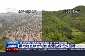 时空观察 | “植”此青绿 共建美丽中国如何向“新”而行？图片