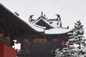 “尔滨”爆火！山西小醋坛申请出战 宝藏山西藏不住啦！图片