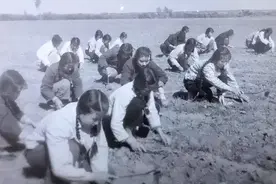 爷爷曾是志愿军战士，1972年我入伍当兵，四年后提干副连长！图片