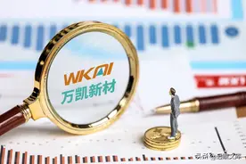深耕瓶片行业，万凯新材：前瞻布局出海业务，向上延伸低成本原料图片
