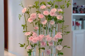 试管插花合集图片