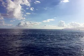 太平洋深处有鸟吗？深海远航里的冷知识，颠覆认知！图片