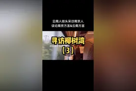 云南人与南京人街头对话。谈两地方言共通之处。#方言 #云南方言 #南京 #款云南 #文化差异 @抖音短视频视频封面