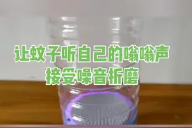 让蚊子接受自己的“嗡嗡”噪音折磨，会怎样#蚊子 #蚊子给大家解解气视频封面