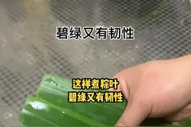 粽叶这样煮碧绿又有韧性 觉得有用快快点赞收藏啦😂#民间传统美食 #粽叶飘香 #端午节视频封面
