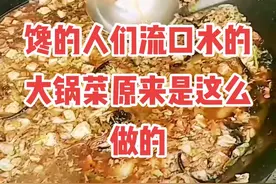 #馋的让人流口水的大锅菜原来是这么做的啊#民间传统美食 #大锅菜 #地方特色美食 #美食天天有想吃跟我走 #做菜我是认真的 #大锅炖 视频封面