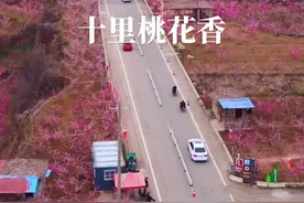 灼灼桃花已盛开，何必要哪个远方，春雨绵绵时，落花可成画，青枝可成诗！我的家乡，大美肥城！#热门视频封面