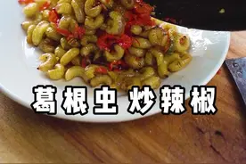 葛也叫“葛藤”，葛根虫是乡下的稀缺美味，爆炒辣椒又香又脆。#新农人计划2021 #农村美食 #葛根 #葛根虫 