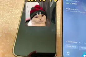 Siri好像有点憨#冰墩墩的英文名怎么读 #siri @MT蜜糖视频封面