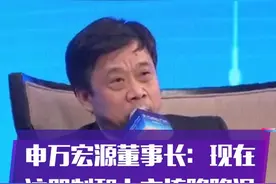 申万宏源董事长：现在注册制和上市非常热，应该降降温。你怎么看？视频封面