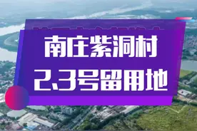 南庄紫洞村去年24亿💰今年又要推出超8万方宅地？🎉🎉视频封面