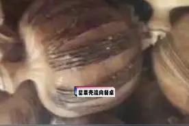 转发警惕！曝黑市罂粟壳流向熟食小吃点？ 非法增香危害大！视频封面