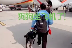 ￼#导盲犬 黑萌萌领着盲人妈妈坐飞机出差了。衷心感谢@海南航空HNAir 对导盲犬的便利政策！￼￼￼视频封面