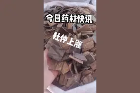 2022年1月3日今日药材快讯杜仲市场来货少，行情上扬#中药 #诚信经营 #中药本草 #中药材种植基地 #药材行情信息 #中药材 #药材 #抖音助农 #中药材市场 #你好2022 #药材行情分析 #优质农产品 #中医 #中药药材 视频封面