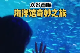 海洋馆奇妙之旅 猜猜发生了什么（上海的库存嘻~#海洋馆 #vlog日常 #内容过于真实视频封面
