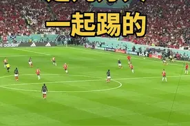 摩洛哥的球赛不是11个人踢的 是数万名球迷一起踢的#足球 #2022世界杯 #世界杯荣耀时刻 #法国VS摩洛哥视频封面
