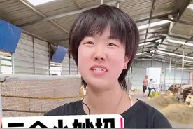 夏天牛圈里苍蝇蚊子很多，高手支三招告诉你怎么去除！#养牛技术 #肉牛养殖 #养牛 #三农视频封面