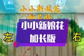 #零基础学舞 #傣族舞 #广场舞#小小新娘花#加编#浅瑟妖娆视频封面