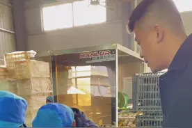 小企业更应该把细小的事做好，在咱们这种小县城普遍存在临时工现象，在给她们提供就业岗位的同时，一视同仁才会有归宿感，这才是地方企业的社会使命#三农历程视频封面