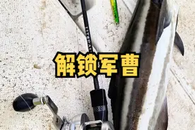 青岛居然钓到了南方鱼，价值二百多一斤？炎月那条是大真鲷？ 你们说是啥鱼?#路亚黄鲣 #抽铁板 #凌克天镜 #凌克焕澜铁板竿视频封面