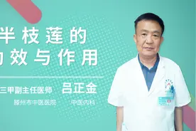 半枝莲的功效与作用视频封面