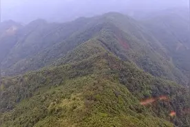 航拍广东云浮金菊顶，郁南第一高峰，生态环境极佳视频封面