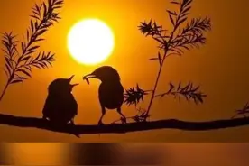 《浪漫夕阳红》祝老年朋友们老有所乐！视频封面