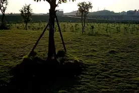 老口水利枢纽网红点。视频封面