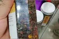 野生昆仑胎菊
