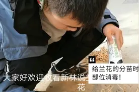 给大家看看如何给兰花分苗后切口消毒视频封面