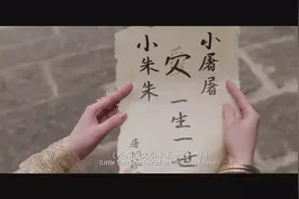 李宇春的爱情视频封面