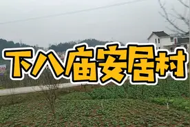 巴中与南充交界处，新农村建设下八庙安居村，还有致富产业蔬菜基视频封面