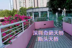 大圆盘断头天桥，深圳市民却说桥很漂亮，就是要绕很多的弯路视频封面