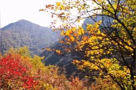 小井沟誉为首府后花园，每年十月初也会迎来一个色彩斑斓的秋天。