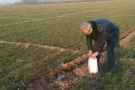 一次性浇地水带视频封面