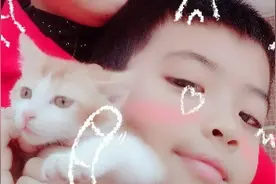 网红神曲《追风者》背面演示视频封面
