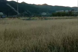 绵延起伏的大山下废弃的南票火车站，远处一列绿皮火车视频封面
