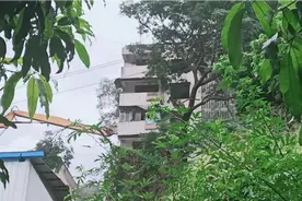 攀枝花拆迁视频封面