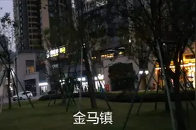 成都温江金马镇撤镇编制，设金马街道编制，并入永盛镇👏👏视频封面