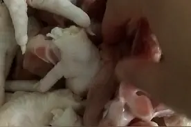居家零食  :   卤鸡爪 酱卤鸭架