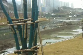 贵州省毕节市织金县开发旅游区了，真高兴视频封面