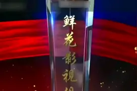 少年英雄刘文学微电影视频封面