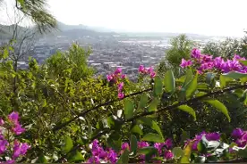 海山镇坂上村尖石山上风景